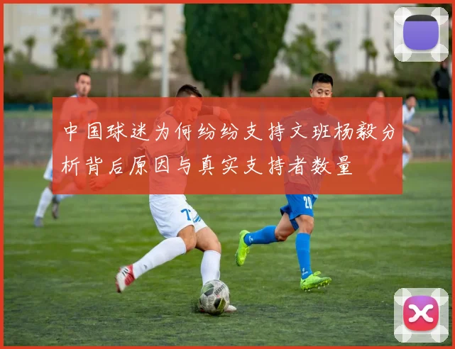 中国球迷为何纷纷支持文班杨毅分析背后原因与真实支持者数量